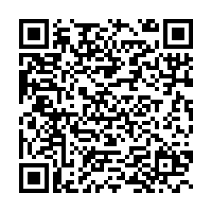 QR-code Festival 2025